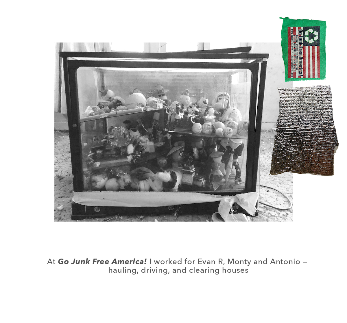 Go Junk Free America