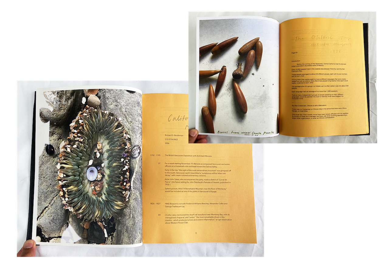 Only The Gold Spread Samples