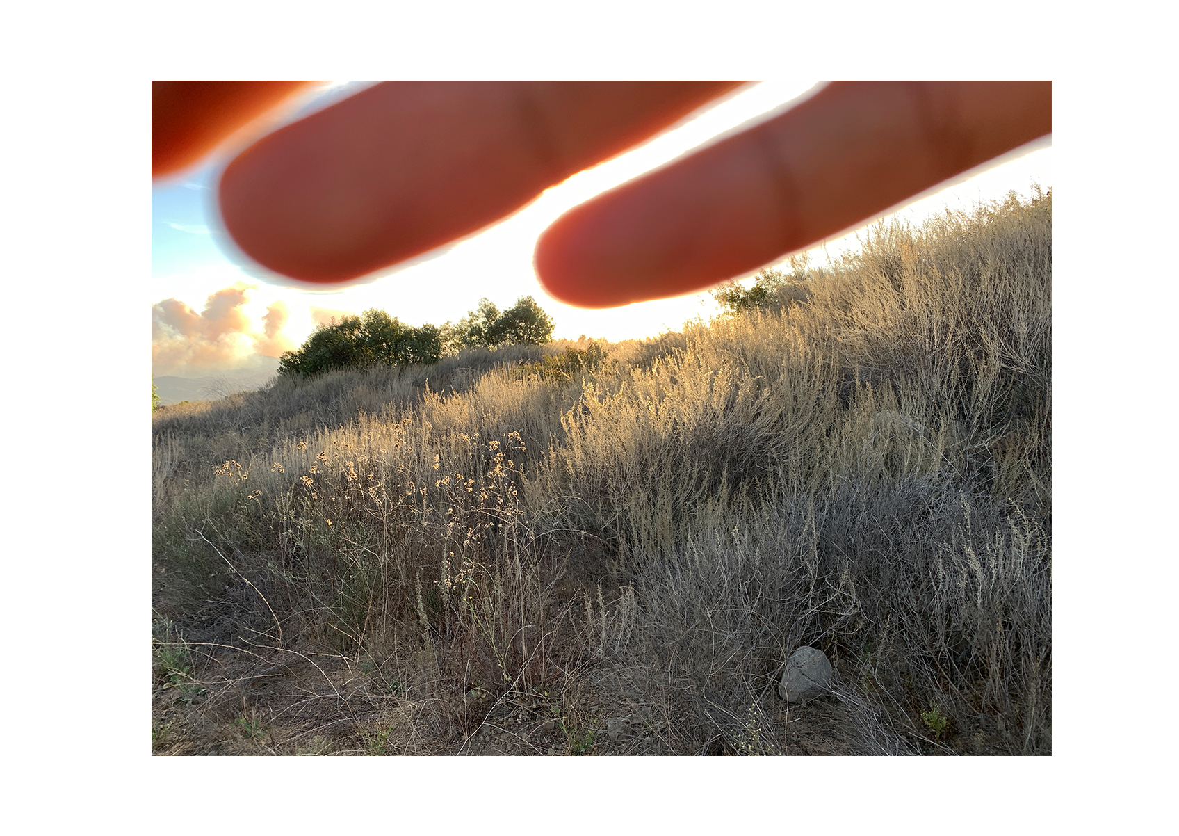 West Coast Landscapes
