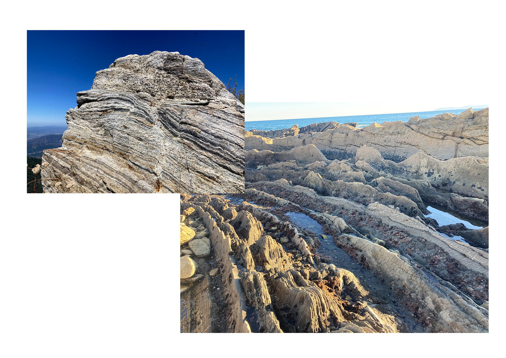 West Coast Landscapes