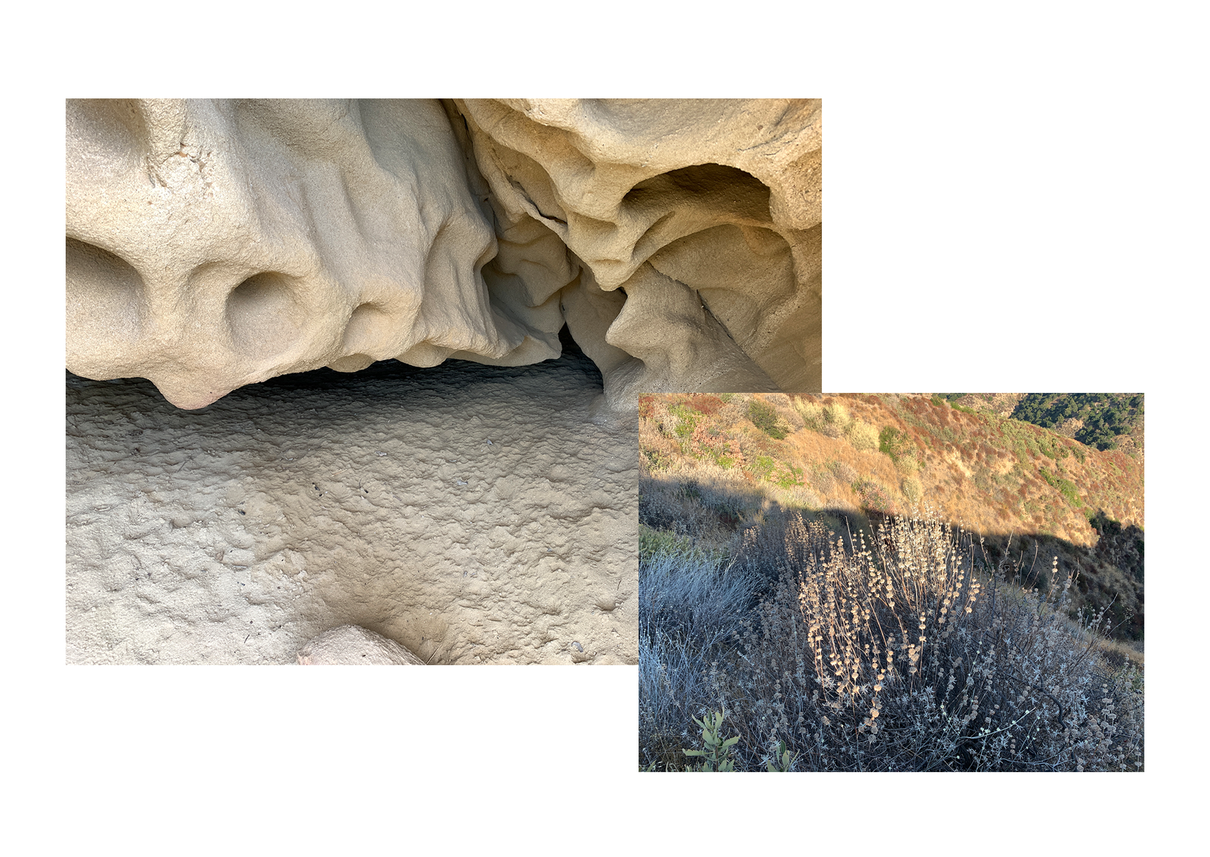 West Coast Landscapes