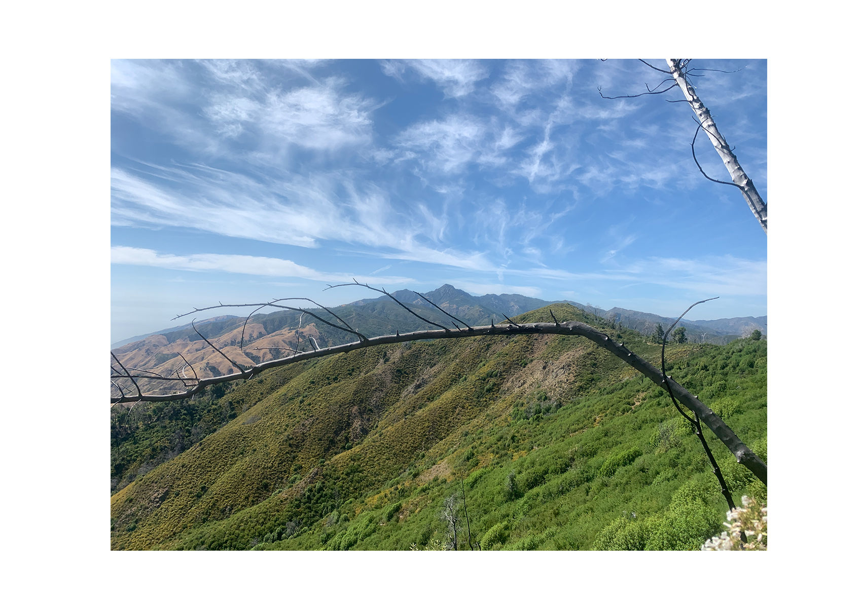 West Coast Landscapes