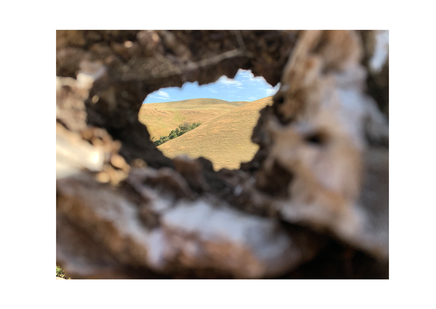 West Coast Landscapes