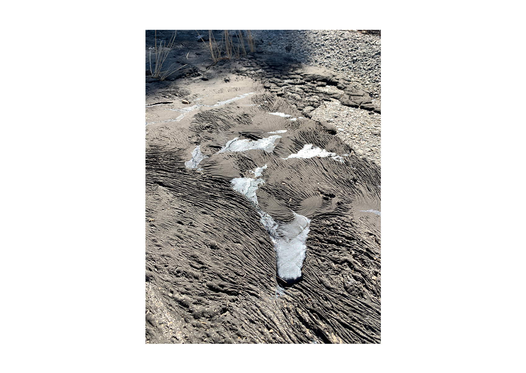 Newhall 03
