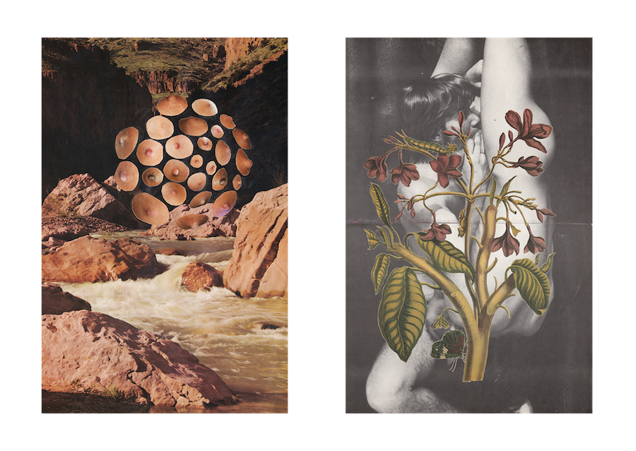 images from Ladscapes