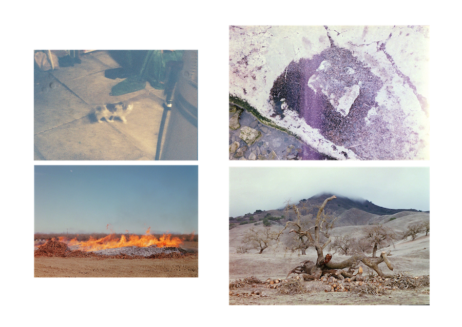 photos from Ground Things