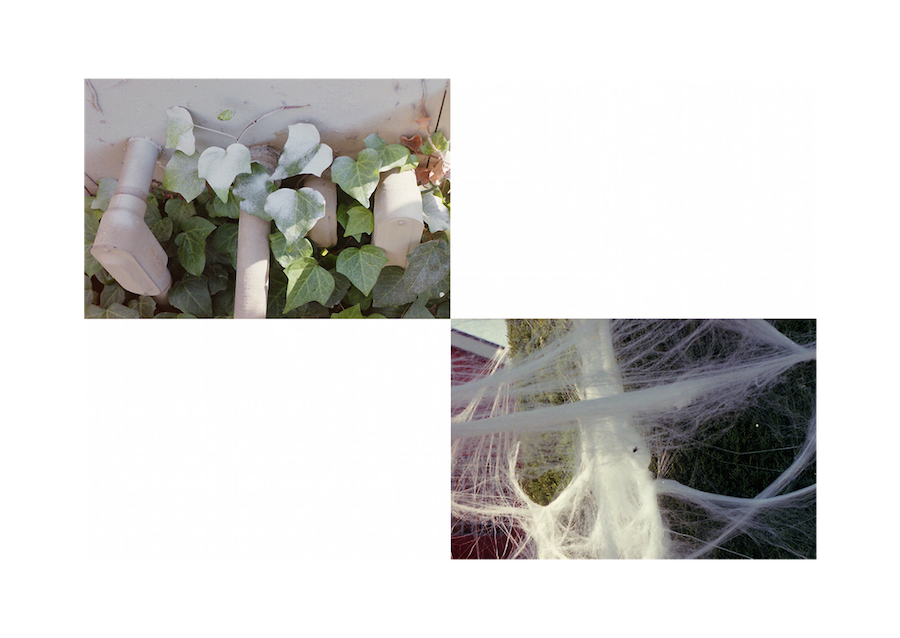 photos from God and Man in Crenshaw 