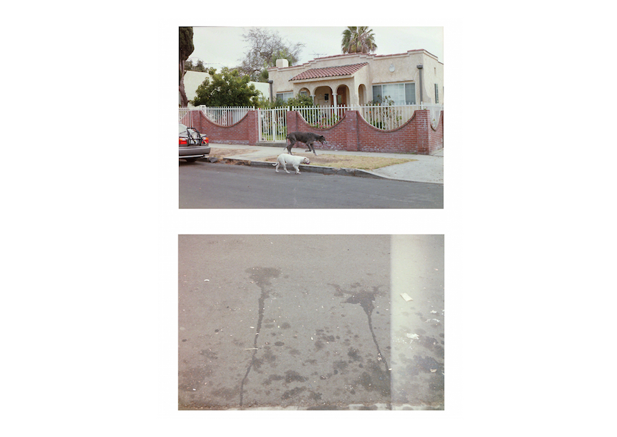 photos from God and Man in Crenshaw 