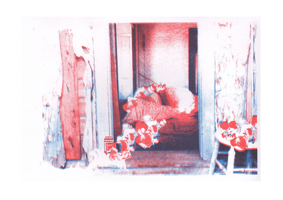 Contribution by Jessie Helgeson 